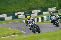 cadwell-no-limits-trackday;cadwell-park;cadwell-park-photographs;cadwell-trackday-photographs;enduro-digital-images;event-digital-images;eventdigitalimages;no-limits-trackdays;peter-wileman-photography;racing-digital-images;trackday-digital-images;trackday-photos